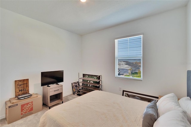 bedroom featuring carpet flooring