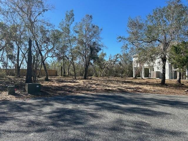 Listing photo 3 for 158 SW 279th Ave, Steinhatchee FL 32359