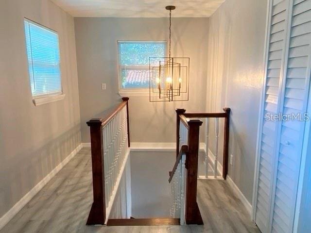 1829 10th St N, Saint Petersburg, FL 33704 - stairs with hardwood / wood-style flooring, plenty of natural light, and an inviting chandelier