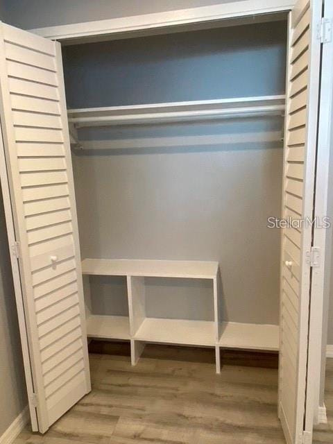 1829 10th St N, Saint Petersburg, FL 33704 - view of closet