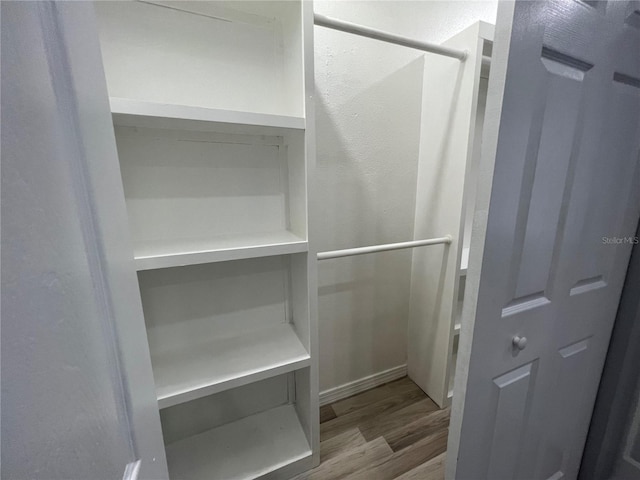 1829 10th St N, Saint Petersburg, FL 33704 - walk in closet with light wood-type flooring