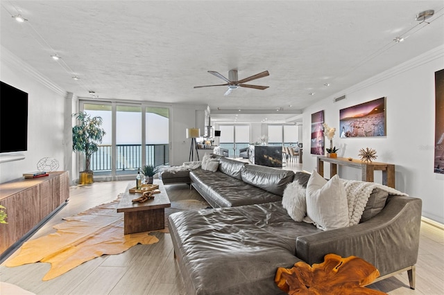 living room with ceiling fan, crown molding, a wall of windows, and a textured ceiling