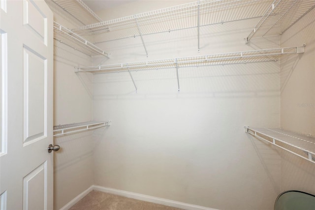 spacious closet with carpet flooring