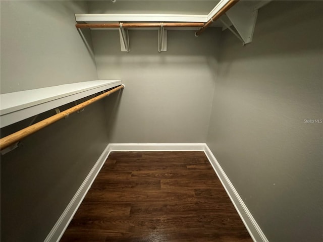 walk in closet with dark wood-type flooring