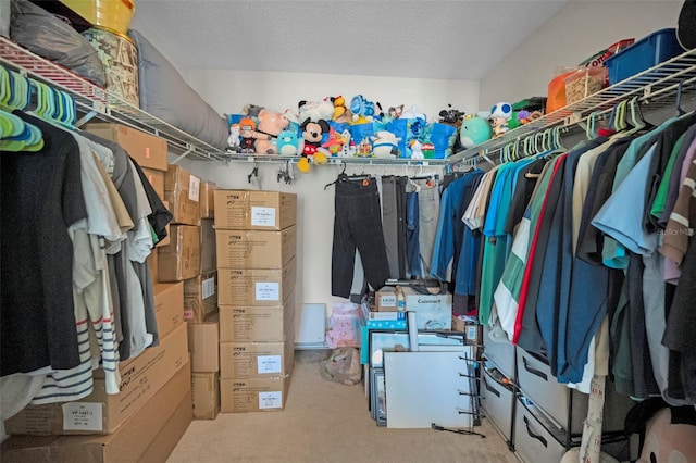 spacious closet featuring carpet