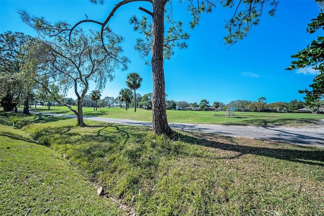 view of property's community featuring a lawn