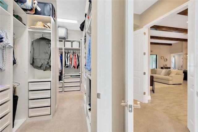 spacious closet with beam ceiling and light colored carpet