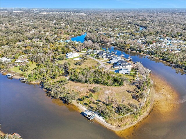 8339 Alafia Pointe Dr, Riverview, FL 33578 - photo 9