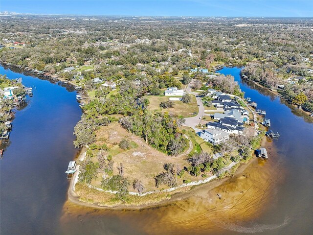 8339 Alafia Pointe Dr, Riverview, FL 33578 - photo 10