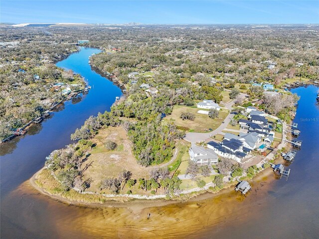 8339 Alafia Pointe Dr, Riverview, FL 33578 - photo 11