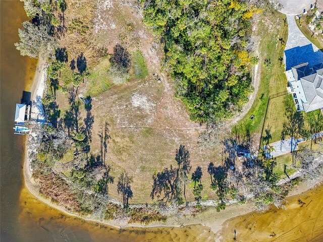 8339 Alafia Pointe Dr, Riverview, FL 33578 - photo 12