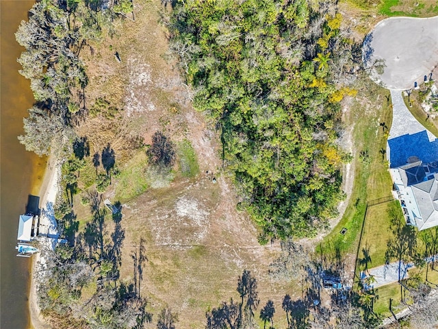 8339 Alafia Pointe Dr, Riverview, FL 33578 - photo 13