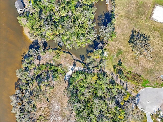 8339 Alafia Pointe Dr, Riverview, FL 33578 - photo 15