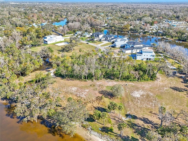 8339 Alafia Pointe Dr, Riverview, FL 33578 - photo 17