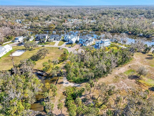 8339 Alafia Pointe Dr, Riverview, FL 33578 - photo 18