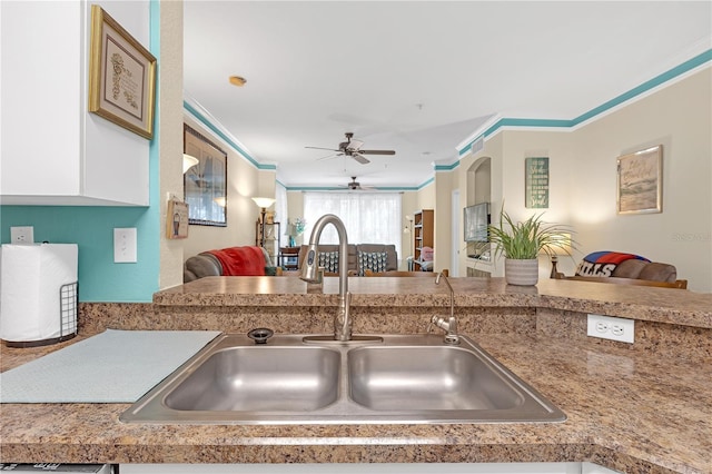 kitchen with ornamental molding, sink, and ceiling fan