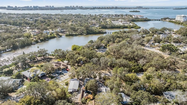 1157 Brook Rd, Clearwater, FL 33755 - photo 53
