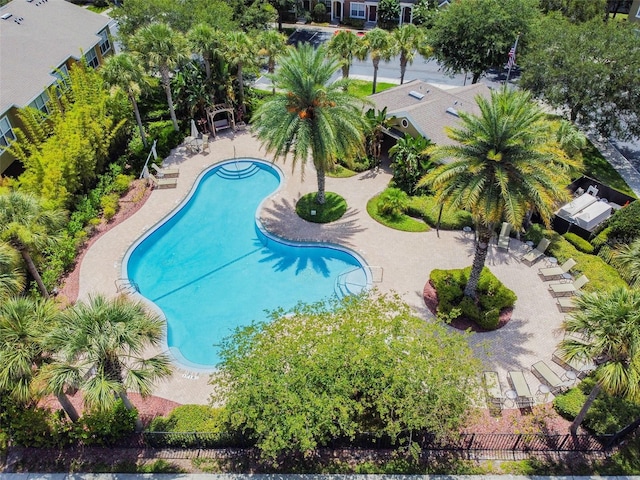 view of pool featuring a patio