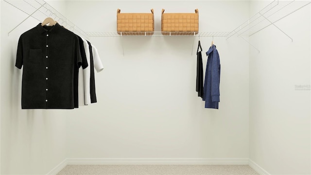 spacious closet with light carpet