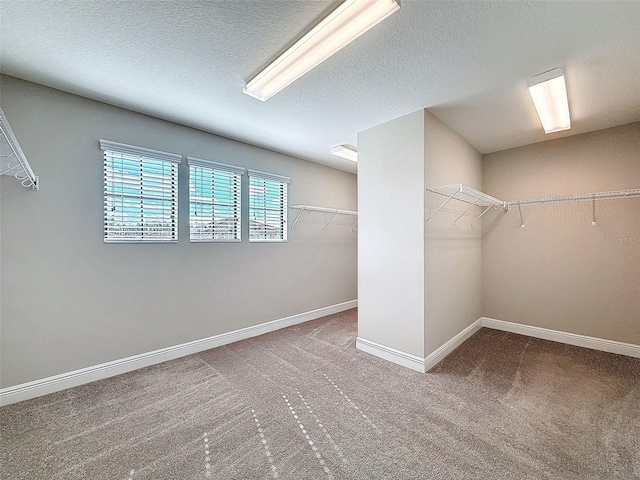 spacious closet featuring carpet floors