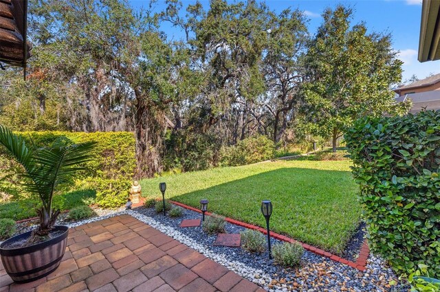 13711 Moonstone Canyon Dr, Riverview, FL 33579 - photo 46
