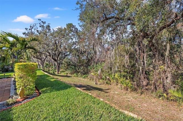13711 Moonstone Canyon Dr, Riverview, FL 33579 - photo 51