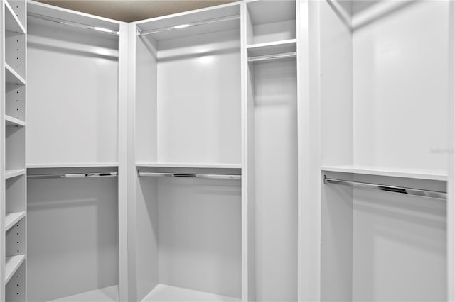 4951 Bacopa Ln S Unit 103, Saint Petersburg, FL 33715 - view of walk in closet