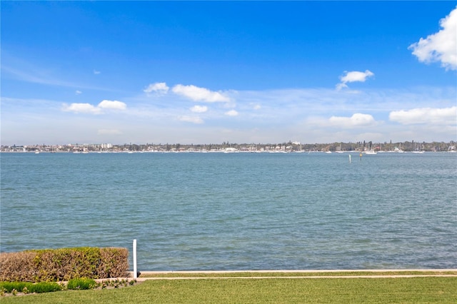 4951 Bacopa Ln S Unit 103, Saint Petersburg, FL 33715 - water view