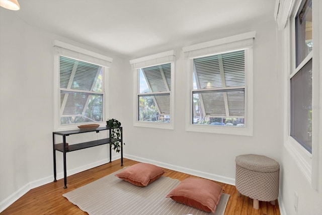 sitting room featuring wood-type flooring