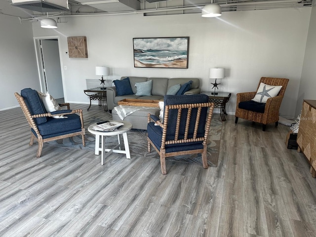 living room featuring wood-type flooring