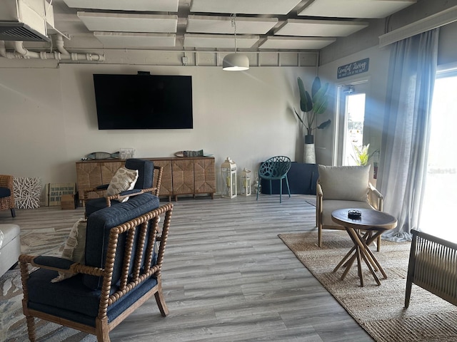 living room with wood-type flooring