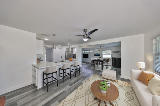 living room featuring sink, dark hardwood / wood-style floors, and ceiling fan