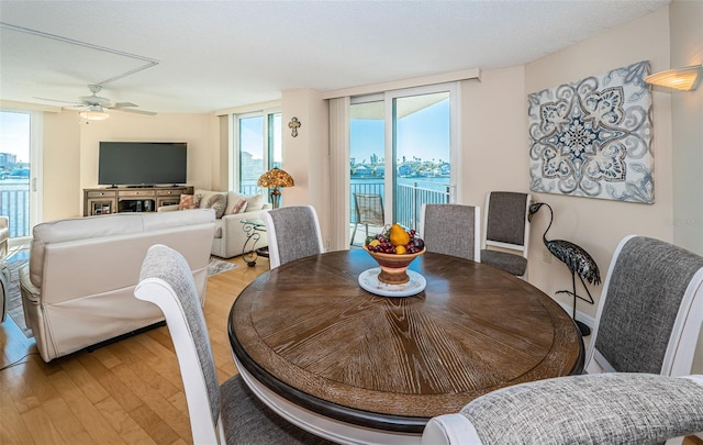 dining area with ceiling fan, a healthy amount of sunlight, wood-type flooring, and a textured ceiling