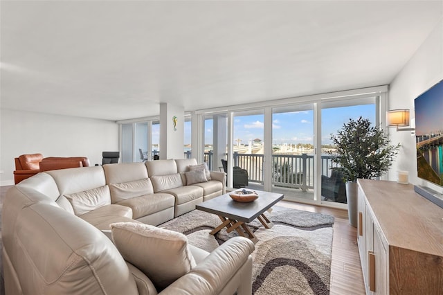 living room with wood-type flooring and floor to ceiling windows