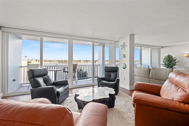 living room featuring expansive windows, wood-type flooring, and a wealth of natural light