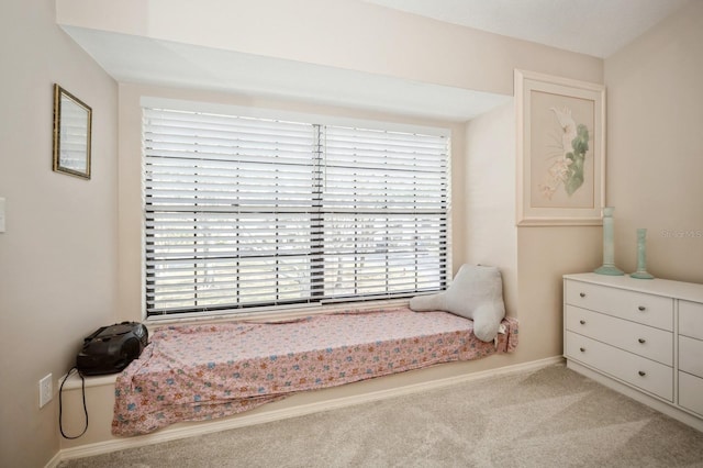 living area with carpet flooring and baseboards