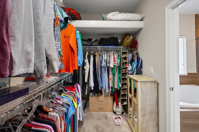 walk in closet featuring carpet