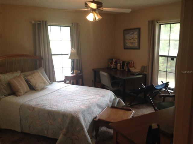 bedroom with multiple windows and ceiling fan