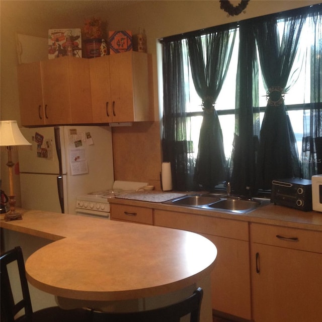 kitchen with white refrigerator, plenty of natural light, sink, and light brown cabinets