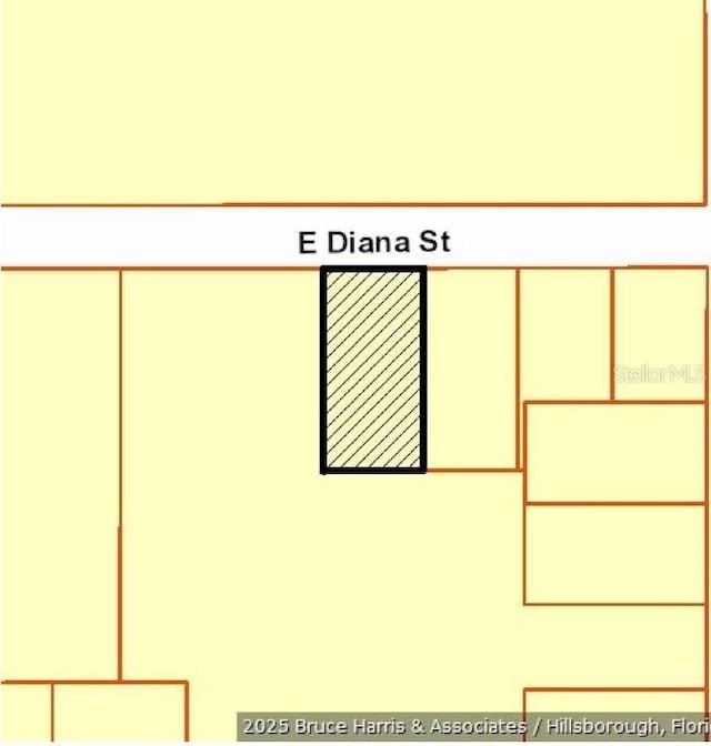 E Diana St, Tampa, FL 33610 - photo 6