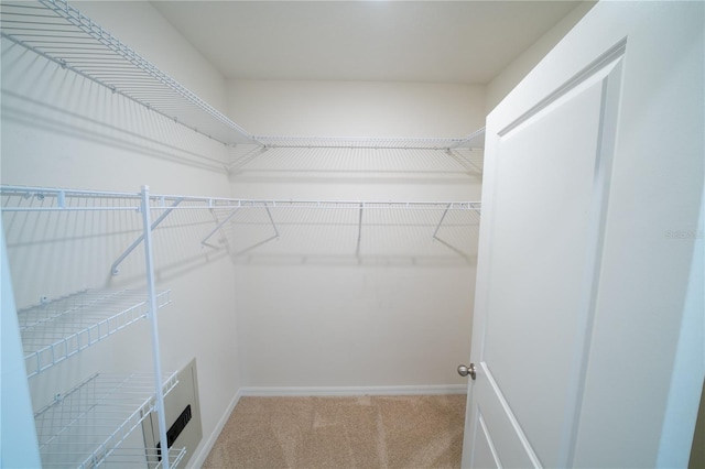 spacious closet featuring carpet flooring