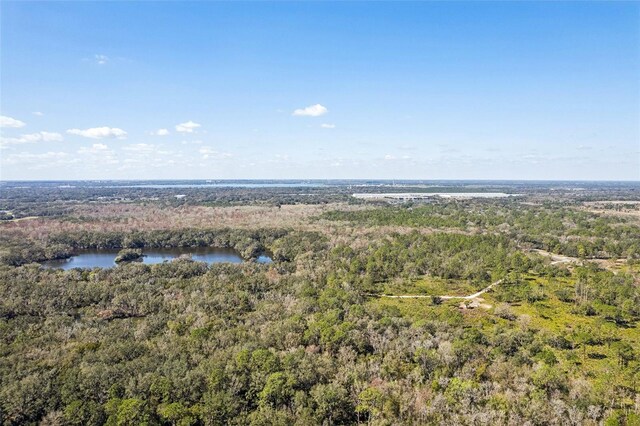 4323 Trotters Way, Lakeland, FL 33801 - bird's eye view featuring a water view