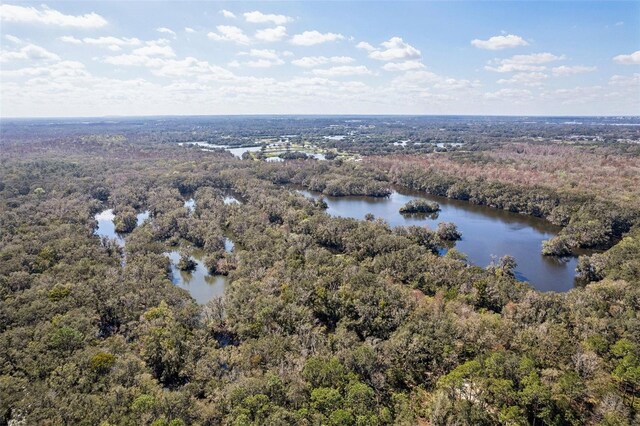 4323 Trotters Way, Lakeland, FL 33801 - aerial view with a water view