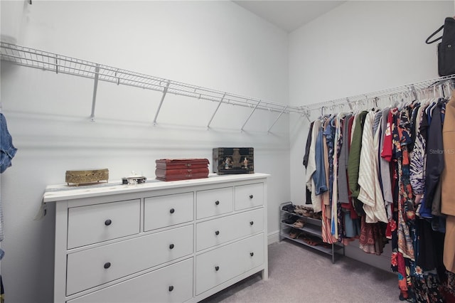 walk in closet with light carpet