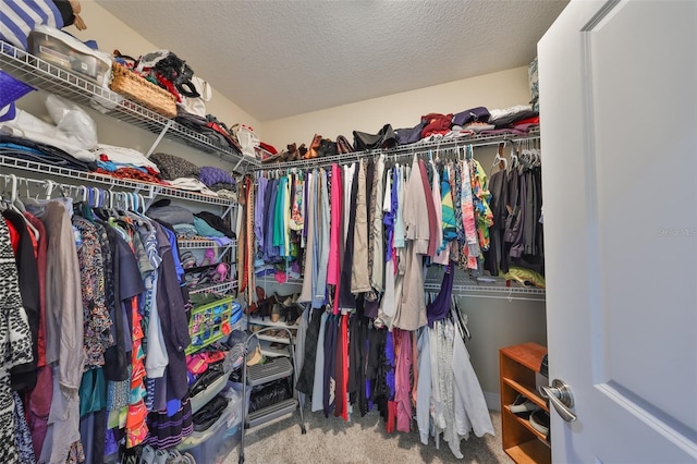 walk in closet with carpet