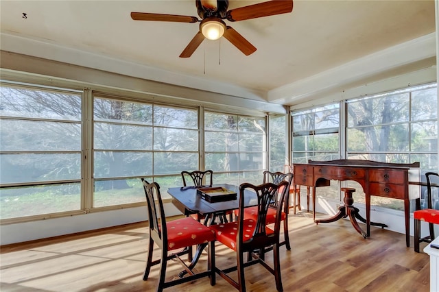 sunroom with a healthy amount of sunlight and ceiling fan