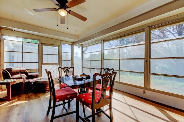 sunroom / solarium with ceiling fan