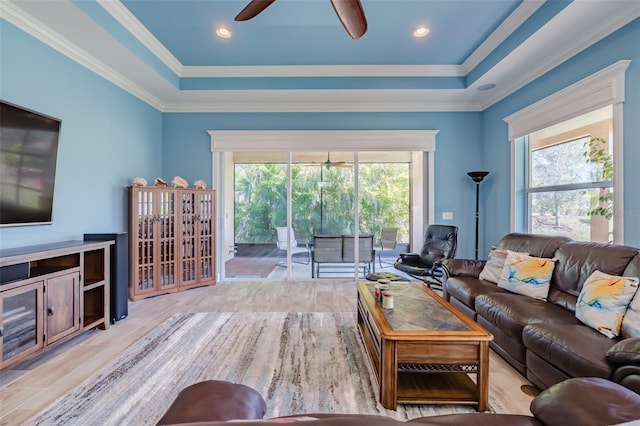 living area with crown molding, a tray ceiling, and plenty of natural light