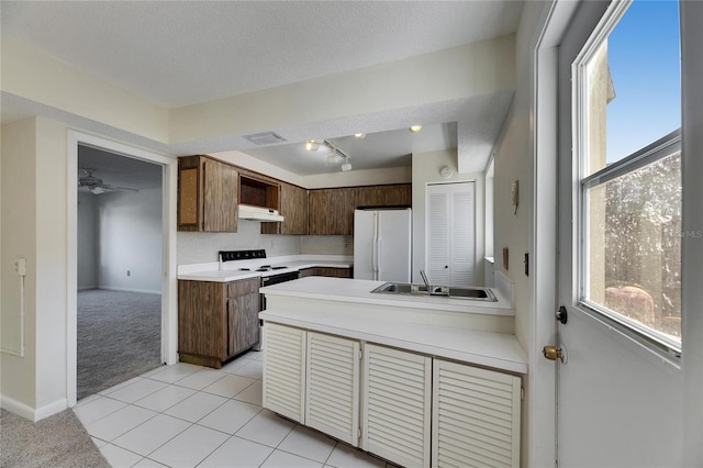 kitchen featuring sink, white appliances, a wealth of natural light, and light colored carpet