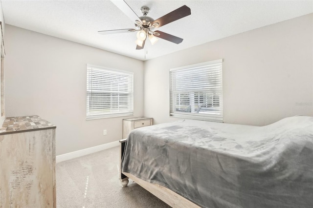 8376 Sycamore Dr, New Port Richey, FL 34654 - photo 18